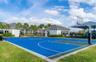 Outdoor Basketball