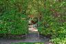 Secret Zen Garden