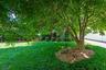 Mature landscaping