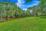 Expansive green space featuring a natural water element, mature trees, and a clear blue sky