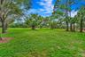 Expansive green lawn surrounded by mature trees, including palms and broadleaf varieties