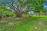 Expansive green lawn with mature trees and a large banyan tree