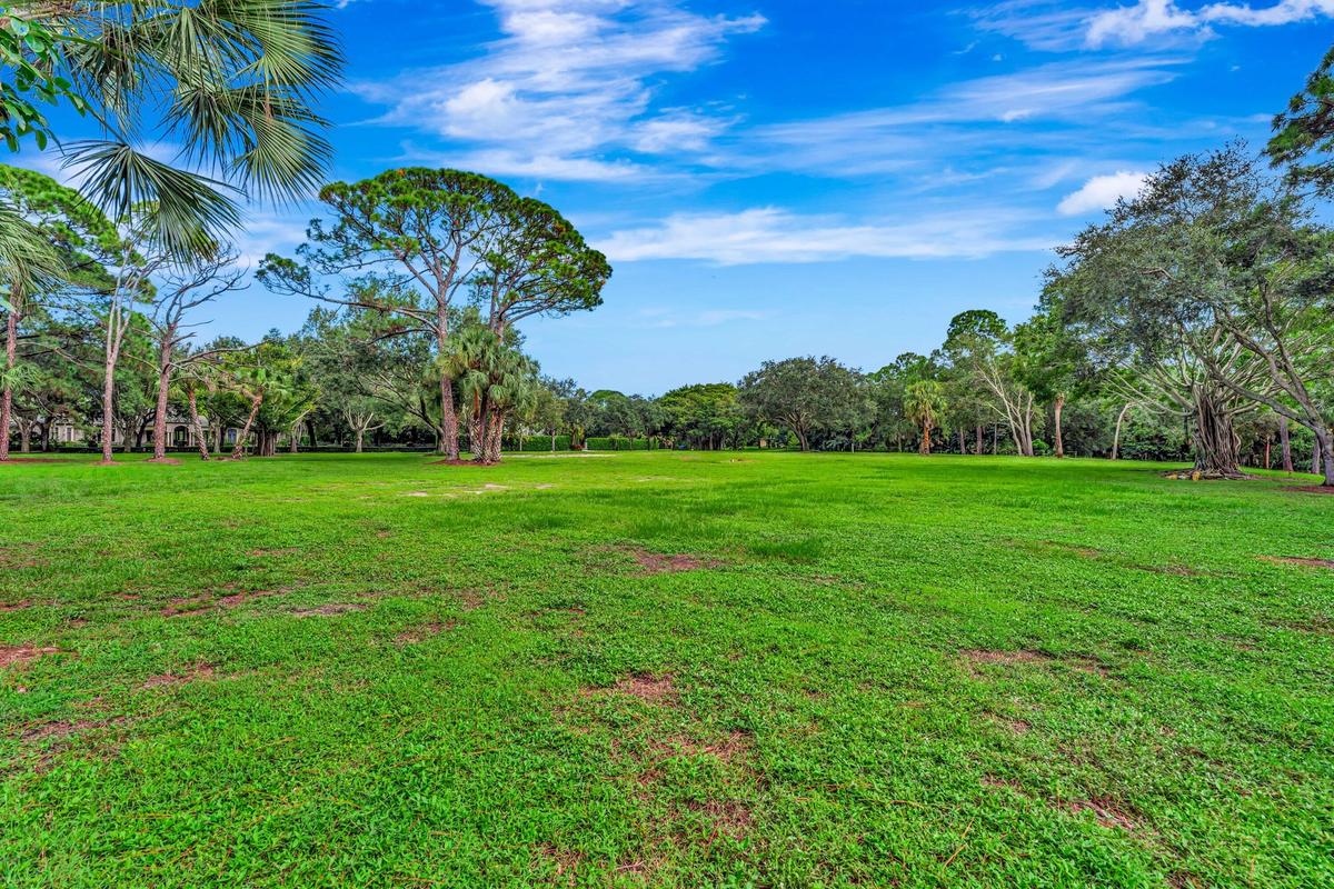 Expansive green space featuring mature trees and established perimeter foliage