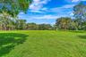Expansive grassy area with mature trees and natural landscaping