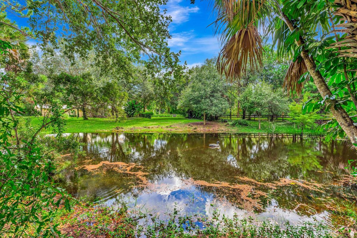 Pond with reflective surface, surrounded by lush green foliage and mature trees, featuring a natural wood fence