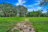 Expansive grassy land with established trees
