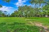 Expansive grassy area with mature trees and diverse foliage