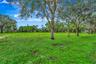 Expansive green space featuring mature trees and a clear sky backdrop