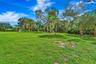 Expansive green lawn with mature trees and dense foliage border