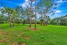 Expansive grass lawn with mature palm trees and established deciduous trees