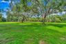 Expansive green space featuring two mature trees with substantial canopies, surrounded by additional lush foliage
