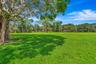 Expansive green space featuring a mature tree with aerial roots and a backdrop of diverse trees