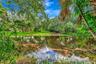 Lush landscaping with mature trees, a tranquil pond, and natural fencing along the perimeter
