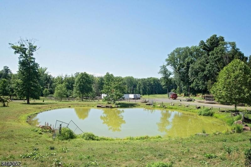 Pond