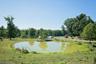 Pond