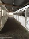 Stables