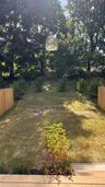 Expansive backyard featuring a grass lawn, mature trees, and privacy fencing