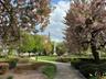 Downtown Morristown Green