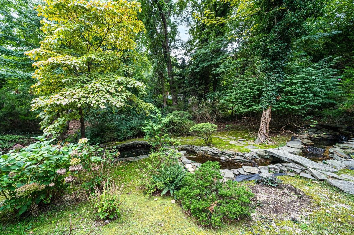 Mature trees and water feature