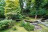 Mature trees and water feature