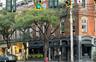 Rhinebeck Village
