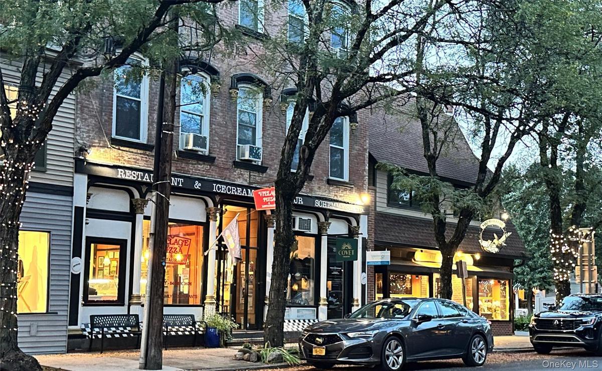Rhinebeck Village