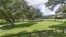grazing pasture