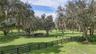 grazing pasture with beautiful oaks