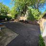 backyard 1