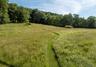 Magical Walking Paths throughout the meadow to a special bench that overlooks the property