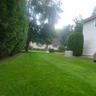 Expansive Yard