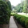 Front path