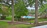 Pool from patio