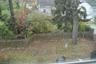 view of backyard