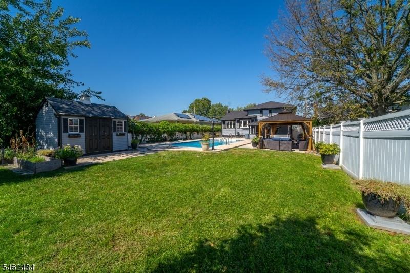 Back View
