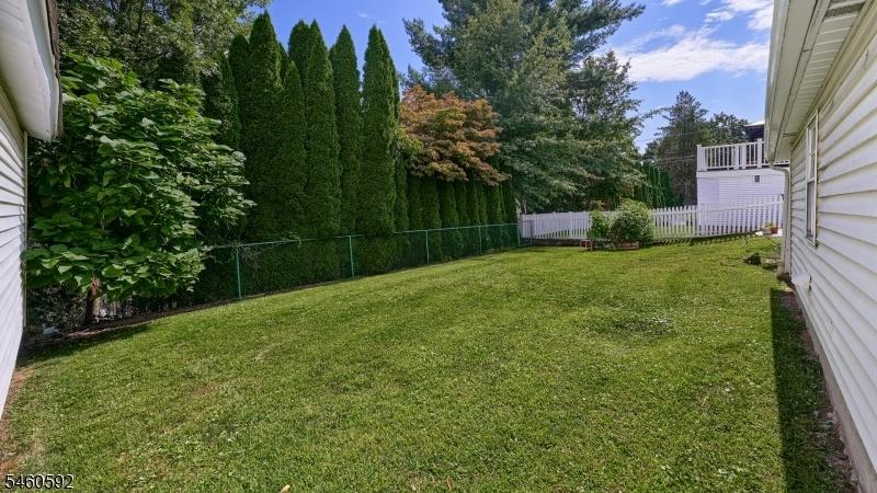 yard