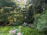Parklike Perennial Gardens beautiful lawn for games