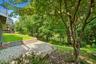 Nature views