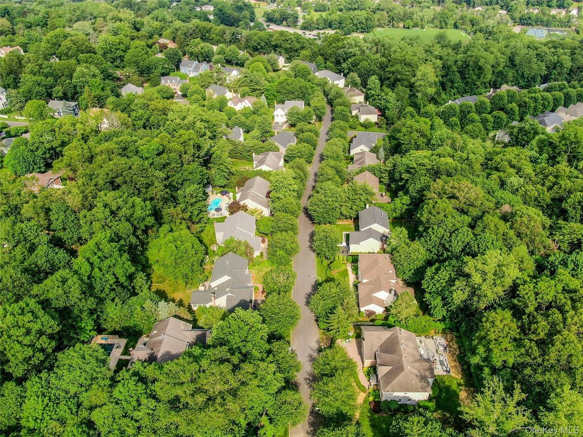 Ardsley Estates Neighborhood