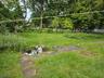 Rear Yard