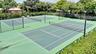 Tennis and pickleball courts