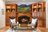Wood burning Fireplace