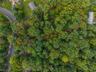 Aerial Lot View