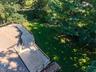 Backyard view