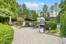 Speciman Plantings Throughout
