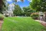 Mature Landscaping