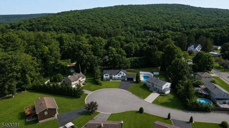 Drone shot
