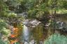 Stream