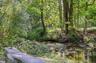 Stream