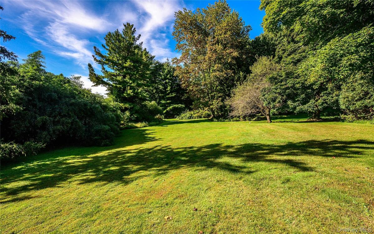 Backyard view